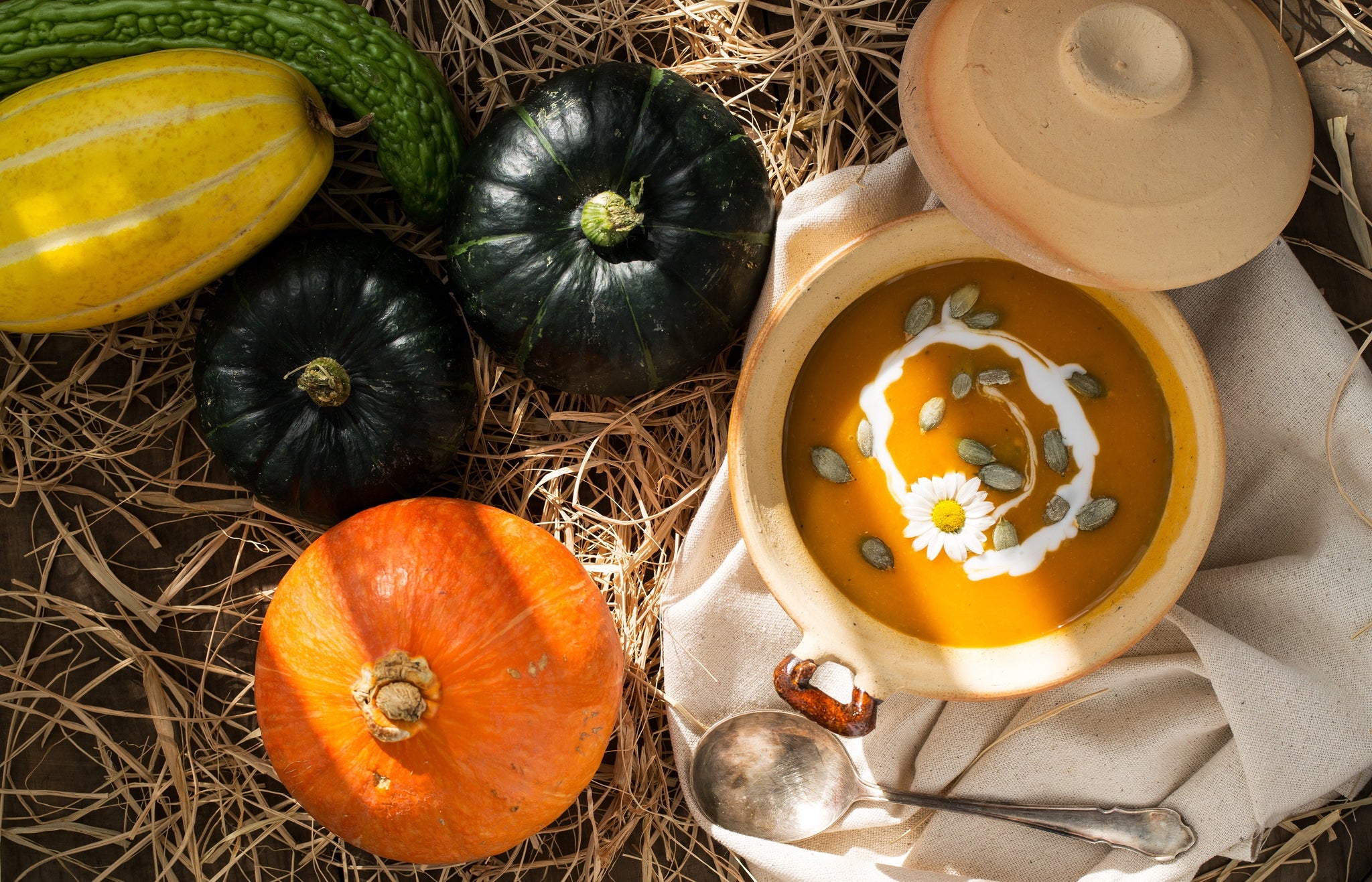 Simple Pumpkin Soup