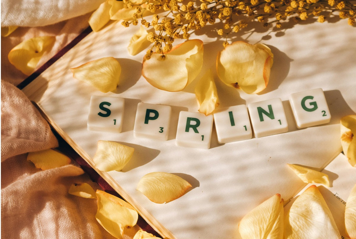 Our Top 5 Tips to Spring Clean your Life