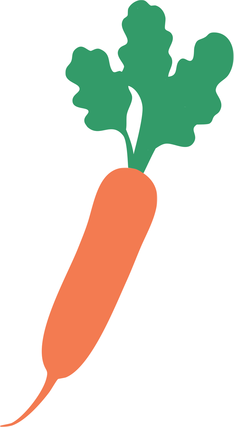 Carrot